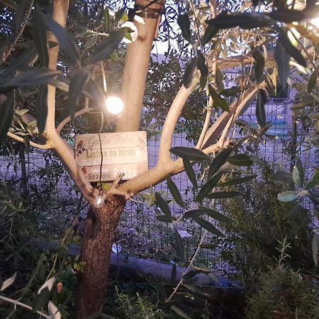 شقة Casita Esperanza Copparo المظهر الخارجي الصورة