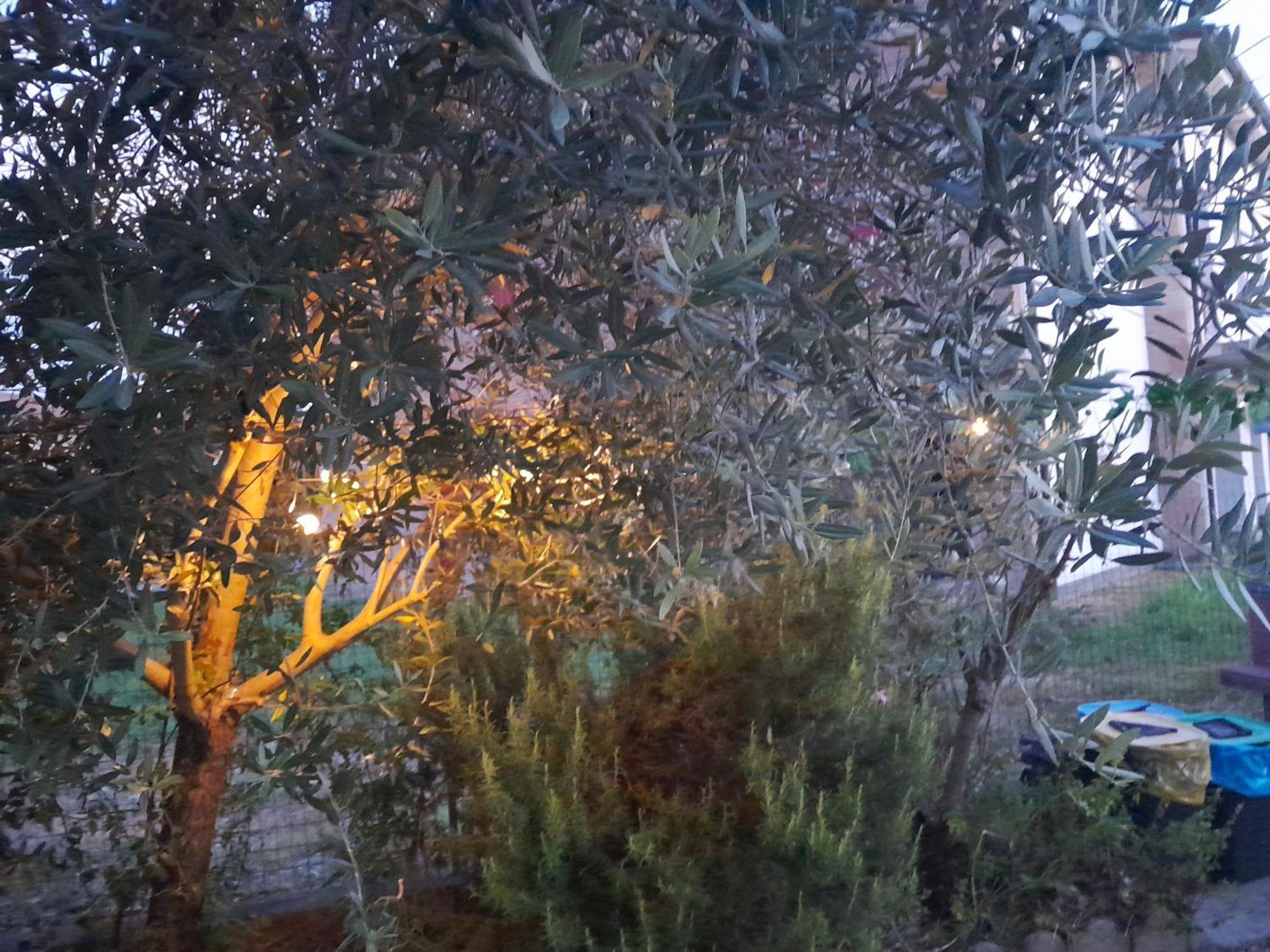 شقة Casita Esperanza Copparo المظهر الخارجي الصورة