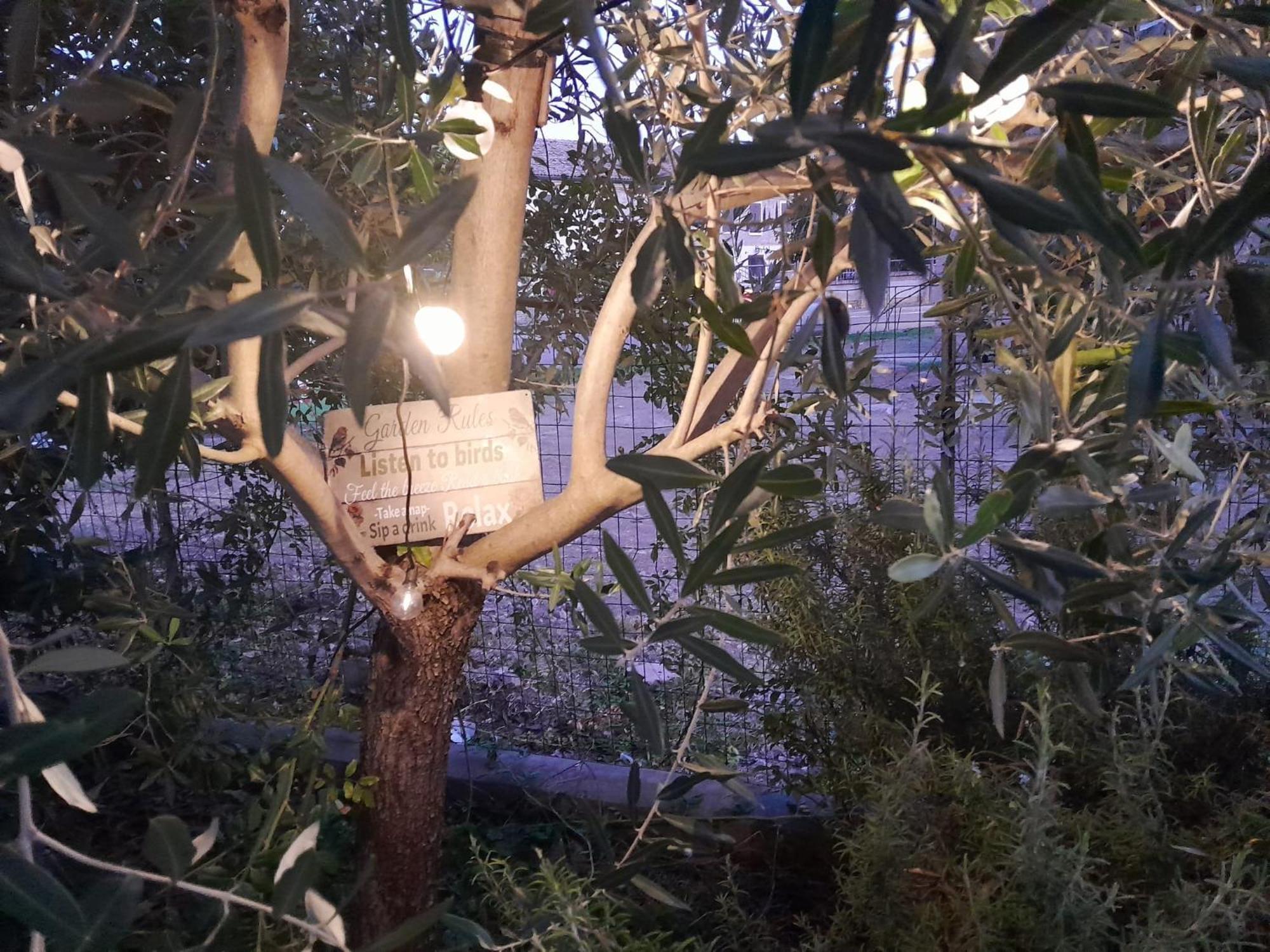 شقة Casita Esperanza Copparo المظهر الخارجي الصورة